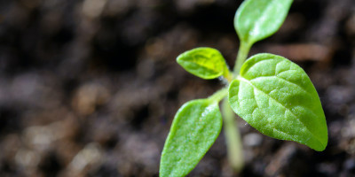 GrowMate Soil